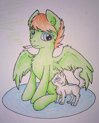 Size: 1280x1573 | Tagged: safe, artist:drakovyte, imported from derpibooru, oc, oc only, cat, pegasus, pony, 2015, blue eyes, colored pencil drawing, duo, green coat, pegasus oc, sitting, smoking, traditional art, wings