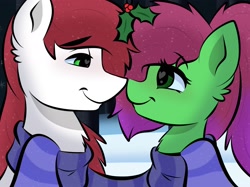 Size: 2048x1535 | Tagged: safe, artist:doodle-hooves, oc, oc only, pony, female, looking at each other, male, mare, stallion