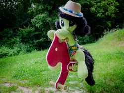 Size: 2400x1800 | Tagged: safe, artist:littlefairyswonders, imported from derpibooru, oc, oc only, oc:filly anon, clothes, cute, female, filly, foal, happy, hat, hawaiian shirt, horse riding a horse, irl, photo, plushie, rocking horse, shirt, solo