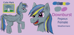 Size: 9000x4281 | Tagged: safe, imported from derpibooru, oc, oc only, oc:downburst, pegasus, pony, cutie mark, reference sheet, simple background