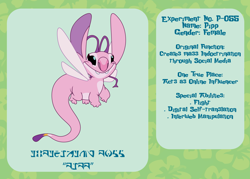 Size: 2100x1500 | Tagged: safe, artist:prixy05, imported from derpibooru, pipp petals, alien, experiment, female, g5, lilo and stitch, reference sheet, simple background, solo, species swap, text, wings