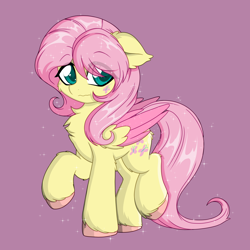 Size: 5000x5000 | Tagged: safe, artist:darkstorm mlp, imported from derpibooru, fluttershy, pegasus, pony, butt fluff, butterscotch, cheek fluff, chest fluff, colored wings, cute, ear fluff, eye clipping through hair, fetlock tuft, folded wings, girly, leg fluff, male, quadrupedal, raised hoof, rule 63, shyabetes, simple background, solo, sparkles, two toned wings, unshorn fetlocks, wing fluff, wings