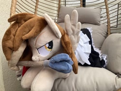 Size: 1280x960 | Tagged: safe, imported from derpibooru, oc, oc only, oc:prince whateverer, pegasus, pony, clothes, crossdressing, duster, galacon, galacon 2024, irl, maid, male, photo, plushie, stallion