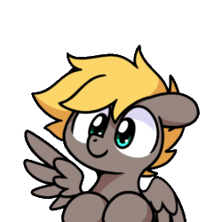 Size: 500x500 | Tagged: safe, artist:sugar morning, imported from derpibooru, part of a set, oc, oc only, oc:shutter, pegasus, pony, animated, facehoof, gif, male, simple background, solo, stallion, transparent background