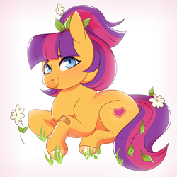 Size: 2560x2560 | Tagged: safe, artist:primrosepaper, imported from ponybooru, earth pony, pony, bandaid, flower, flower in hair, heart, looking at you, maggie joy, solo
