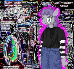 Size: 516x477 | Tagged: safe, artist:y122n20497166, imported from derpibooru, maud pie, anthro, earth pony, abstract background, black shirt, blue eyes, blue pants, clothes, digital art, gray coat, pants, pixel art, purple hair, solo, striped sleeves, tomboy