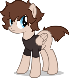 Size: 4240x4780 | Tagged: safe, artist:foxtrnal, imported from derpibooru, oc, oc only, pegasus, pony, absurd resolution, blue eyes, brown mane, clothes, frown, pegasus oc, shirt, show accurate, simple background, solo, t-shirt, transparent background, wings
