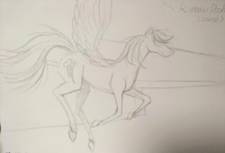 Size: 4000x2721 | Tagged: safe, artist:migesanwu, imported from derpibooru, rainbow dash, horse, pegasus, flying, paper, pencil drawing, photo, side view, simple background, sketch, solo, text, traditional art, white background