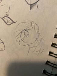 Size: 1500x2000 | Tagged: safe, artist:texacity, imported from derpibooru, big macintosh, earth pony, pony, bust, male, mouth, old art, pencil drawing, sketch, sketch dump, sketchbook, stallion, traditional art
