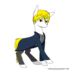 Size: 2000x2000 | Tagged: safe, artist:cassandra211190, imported from derpibooru, oc, oc only, earth pony, pony, clothes, earth pony oc, simple background, solo, white background