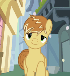 Size: 550x600 | Tagged: safe, imported from derpibooru, screencap, feather bangs, earth pony, pony, hard to say anything, animated, bedroom eyes, cropped, male, solo, stallion, walking towards you