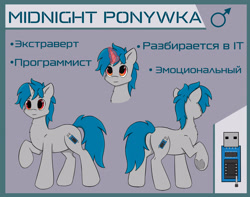 Size: 3165x2499 | Tagged: safe, artist:zirrapie, imported from derpibooru, oc, oc:ponywka, pony, unicorn, blue mane, cyrillic, gray body, horn, male, programmer, reference, russian, stallion