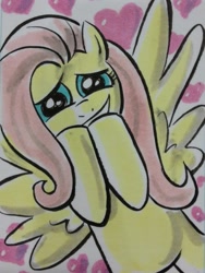 Size: 769x1024 | Tagged: safe, artist:thom zahler, imported from derpibooru, fluttershy, pegasus, pony, 2013, c2e2, c2e2 2013, covering mouth, female, grin, heart, heart background, looking at you, mare, sketchcard, smiling, solo, spread wings, traditional art, wings