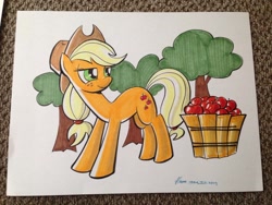 Size: 1024x768 | Tagged: safe, artist:thom zahler, imported from derpibooru, applejack, earth pony, pony, 2014, apple, apple basket, applejack's hat, commission, cowboy hat, female, food, freckles, hat, heroescon, heroescon 2014, lidded eyes, mare, photo, signature, smiling, solo, tail, traditional art, tree