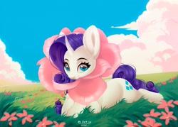 Size: 2560x1834 | Tagged: safe, artist:d_lu, artist:dark_lu, artist:dark_lu~, imported from derpibooru, rarity, pony, unicorn, cloud, female, flower, grass, horn, looking at you, lying down, mare, outdoors, prone, sky, smiling, smiling at you, solo, sploot, tail
