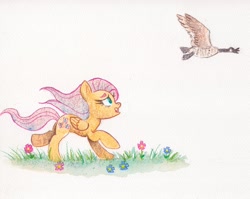 Size: 2000x1595 | Tagged: safe, artist:nedemai, imported from derpibooru, fluttershy, bird, goose, pegasus, pony, atg 2024, female, flower, looking up, mare, newbie artist training grounds, open mouth, solo, traditional art, watercolor painting, windswept mane