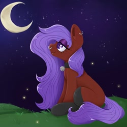 Size: 1000x1000 | Tagged: safe, artist:xxgirlscoutcookiexx, oc, oc only, pony, clothes, collar, female, mare, moon, night, nose piercing, piercing, socks