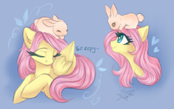 Size: 2700x1700 | Tagged: safe, artist:jsunlight, imported from derpibooru, fluttershy, pegasus, pony, rabbit, animal, cute, shyabetes, sleeping, solo, terraria, wings