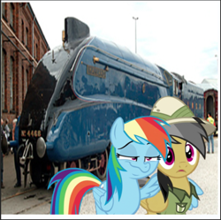 Size: 620x618 | Tagged: safe, artist:polorenzielephant, imported from derpibooru, daring do, rainbow dash, bird, duck, human, mallard, pegasus, pony, a4, a4 pacific, irl, irl human, lner, photo, photoshop, ponies in real life, train