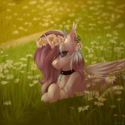 Size: 2500x2500 | Tagged: safe, artist:n3tt0l, imported from derpibooru, oc, oc only, alicorn, chamomile, ear piercing, earring, floral head wreath, flower, jewelry, looking at you, necklace, piercing, solo, sunset