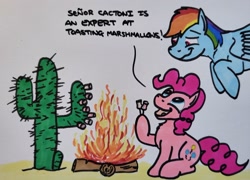 Size: 2048x1475 | Tagged: safe, artist:hoofclid, imported from derpibooru, pinkie pie, rainbow dash, earth pony, pegasus, pony, cactus, campfire, dialogue, duo, duo female, female, food, hoof hold, mare, marker drawing, marshmallow, pinkie being pinkie, roasted marshmallow, traditional art