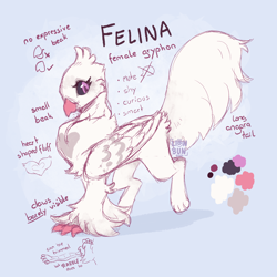 Size: 2000x2000 | Tagged: safe, artist:lionbun, imported from derpibooru, oc, oc:felina, griffon, female, griffon oc, reference sheet, sketch