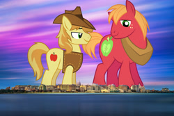 Size: 2048x1367 | Tagged: safe, artist:dashiesparkle edit, artist:frownfactory, edit, editor:jaredking779, imported from derpibooru, big macintosh, braeburn, earth pony, pony, clothes, duo, duo male, freckles, giant pony, hat, highrise ponies, horse collar, irl, macro, madison, male, photo, ponies in real life, smiling, stallion, story included, vest, wisconsin