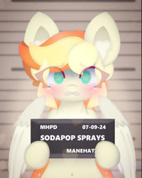 Size: 1080x1349 | Tagged: safe, artist:sodapop sprays, imported from derpibooru, oc, oc only, oc:sodapop sprays, pegasus, pony, semi-anthro, barbie mugshot meme, belly, belly button, chest fluff, crying, ear fluff, guilty, jail, manehattan, meme, mugshot, solo, wide eyes