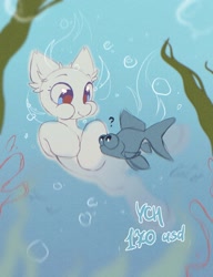 Size: 1570x2048 | Tagged: safe, artist:mirtash, imported from derpibooru, oc, oc only, fish, pony, blue eyes, blue text, bubble, cheeks, colored pupils, commission, ear fluff, kelp, looking at something, question mark, red pupils, smiling, solo, submerged, swimming, text, underwater, water, your character here