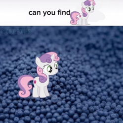 Size: 562x564 | Tagged: safe, edit, imported from derpibooru, sweetie belle, pony, unicorn, blueberry, female, filly, foal, food, horn, impossible, meme, shitposting, solo, wat