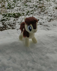 Size: 658x814 | Tagged: safe, imported from derpibooru, oc, oc only, oc:frosty flakes, pony, irl, photo, plushie, snow, solo, winter, yakutian horse