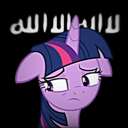 Size: 2048x2048 | Tagged: safe, imported from twibooru, twilight sparkle, pony, unicorn, altbrony, anti lgbt, daesh, homophobia, image, islam, jihad, png, shahada, transphobia, wahhabism