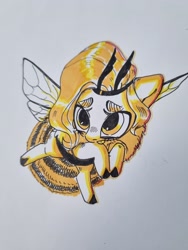 Size: 1920x2560 | Tagged: safe, artist:ekot, imported from derpibooru, pipp petals, bee, bee pony, hybrid, insect, original species, pony, bumblebipp, female, g5, limited palette, mare, marker drawing, photo, shy, simple background, solo, species swap, traditional art