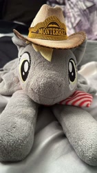 Size: 900x1600 | Tagged: safe, artist:sundzy, imported from derpibooru, derpy hooves, hat, mexican, photo, plushie