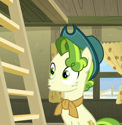 Size: 928x949 | Tagged: safe, edit, edited screencap, imported from derpibooru, screencap, pistachio, earth pony, pony, cropped, green pony, hat, ladder, male, my little pony best gift ever, open mouth, solo, sweet acorn orchard, teenager, wide eyes, window