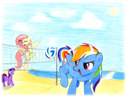 Size: 6609x5046 | Tagged: safe, artist:mizhisha, imported from derpibooru, fluttershy, rainbow dash, twilight sparkle, unicorn, beach, beach volleyball, female, flying, scared, traditional art, trio, trio female, unicorn twilight