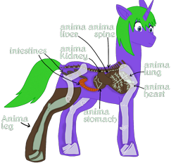 Size: 1400x1300 | Tagged: safe, artist:xada, imported from derpibooru, oc, oc only, pony, unicorn, amputee, anatomy, anatomy chart, arrow, blue eyes, bone, chart, eyelashes, green mane, green tail, heart (organ), horn, intestines, liver, lungs, missing cutie mark, organs, prosthetic leg, prosthetic limb, prosthetics, purple coat, rimworld, simple background, solo, spine, tail, text, transparent background, unicorn oc, x-ray