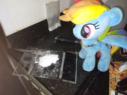 Size: 4160x3120 | Tagged: safe, imported from derpibooru, rainbow dash, pegasus, anonymous photographer, cocaine, drugs, female, irl, kitchen, knife, mare, photo, pizza box, tiled background, wat