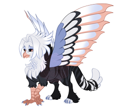 Size: 4300x3700 | Tagged: safe, artist:gigason, imported from derpibooru, oc, oc only, oc:sable, griffon, beak, black sclera, brown eyes, brown pupils, cat tail, chest fluff, chubby, colored claws, colored eyebrows, colored legs, colored paws, colored pupils, colored sclera, colored tail, colored wings, commission, eye clipping through hair, eye markings, facial markings, frown, gray coat, griffon oc, high res, hybrid wings, leg fluff, leg stripes, lidded eyes, looking back, magical lesbian spawn, multicolored tail, multicolored wings, nonbinary, nonbinary oc, offspring, parents:oc x oc, raised claw, simple background, solo, spots, spread wings, striped, striped tail, stripes, tail, transparent background, two toned hair, watermark, wings, yellow eyes