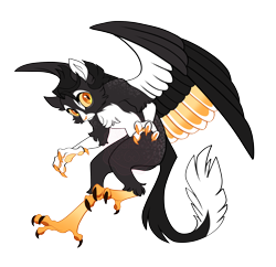 Size: 4504x4357 | Tagged: safe, artist:gigason, imported from derpibooru, oc, oc only, oc:hawk, hybrid, absurd resolution, arm fluff, black fur, black hair, cheek fluff, chest fluff, claws, colored claws, colored legs, colored nose, colored paw pads, colored sclera, colored tail, colored wings, colored wingtips, commission, eye markings, facial markings, frown, interspecies offspring, leg fluff, looking back, multicolored wings, multicolored wingtips, offspring, pale belly, parent:capper dapperpaws, parent:oc:secret tarry, parents:canon x oc, partially open wings, paw pads, paws, reverse griffon, simple background, solo, tail, transparent background, two toned ears, two toned tail, wall of tags, watermark, wings, yellow eyes, yellow sclera