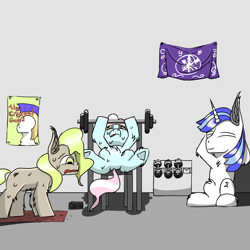 Size: 1500x1500 | Tagged: safe, artist:icycrymelon, imported from derpibooru, shining armor, oc, earth pony, pony, unicorn, dumbbells, flag, gym, horn, poster, relaxing, smiling, sweat, trio