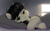 Size: 2013x1263 | Tagged: safe, artist:zippysqrl, edit, editor:anonymous, oc, oc only, oc:floor bored, earth pony, pony, bed, bed mane, bedsheets, cute, drawthread, female, lidded eyes, looking at you, lying down, mare, messy mane, morning, morning ponies, oc only pony, pillow, recolor, requested art, smiling, solo, tavibetes, there's a horse in my bed, waking up