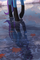 Size: 1836x2740 | Tagged: safe, artist:glumarkoj, imported from derpibooru, oc, oc only, oc:nyaa fox, pegasus, pony, crying, high res, leaves, male, reflection, scenery, solo, teardrop, walking, water