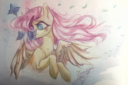 Size: 4000x2677 | Tagged: safe, artist:jsunlight, imported from derpibooru, fluttershy, pegasus, pony, solo, traditional art, watercolor painting