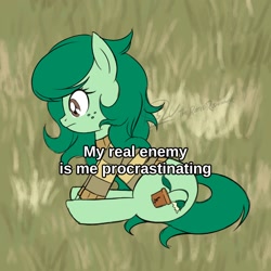 Size: 1920x1920 | Tagged: safe, artist:theratedrshimmer, imported from derpibooru, wallflower blush, earth pony, pony, cute, equestria girls ponified, female, flowerbetes, meme, ponified, ponified animal photo, ponified meme, procrastination, sitting, solo