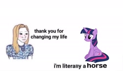 Size: 2048x1192 | Tagged: safe, imported from derpibooru, twilight sparkle, alicorn, human, pony, dialogue, female, mare, meme, simple background, sitting, twilight sparkle (alicorn), white background, wojak