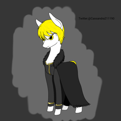 Size: 2000x2000 | Tagged: safe, artist:cassandra211190, imported from derpibooru, oc, earth pony, pony, clothes, earth pony oc