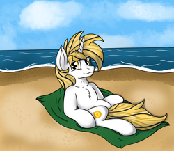 Size: 4206x3649 | Tagged: safe, imported from derpibooru, oc, oc only, oc:srok, pony, unicorn, beach, horn, ocean, sand, sky, solo, water