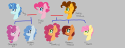 Size: 1632x628 | Tagged: safe, artist:trollertnt, imported from derpibooru, cheese sandwich, li'l cheese, party favor, pinkie pie, oc, oc:blueberry pie, oc:jam sandwich, oc:raspberry jam, oc:strawberry pie, earth pony, pony, unicorn, the last problem, cheesepie, family tree, female, gray background, horn, lineless, male, mare, offspring, parent:cheese sandwich, parent:party favor, parent:pinkie pie, parents:cheesepie, parents:partypie, partypie, polyamory, shipping, simple background, stallion, straight