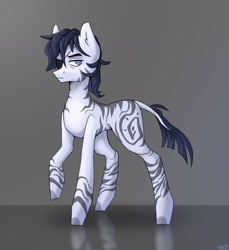 Size: 1877x2048 | Tagged: safe, artist:naet, oc, oc only, pony, zebra, male, stallion, zebra oc